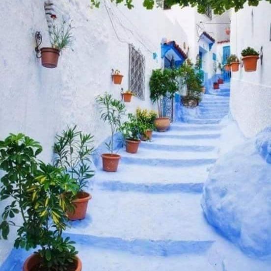 Dar Casa Plasa Grande Шефшауэн Экстерьер фото
